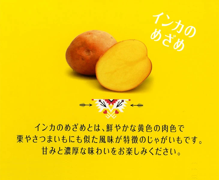 Calbee Jaga Pokkuru POTATO STICK Hokkaido Inkanomezame