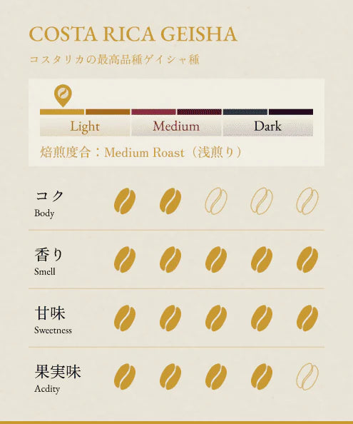 BONGEN Coffee Beans Premium 4 Selections Set