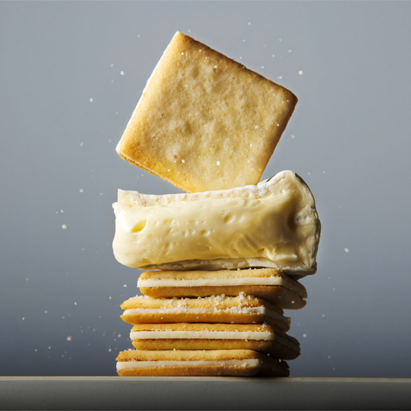 Tokyo Milk Cheese Factory Salt & Camembert Cookies - 18 pieces