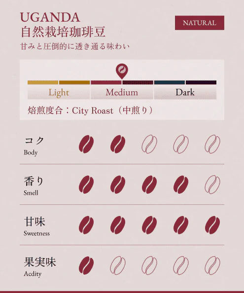 BONGEN Regular Coffee Beans (4 Varieties)