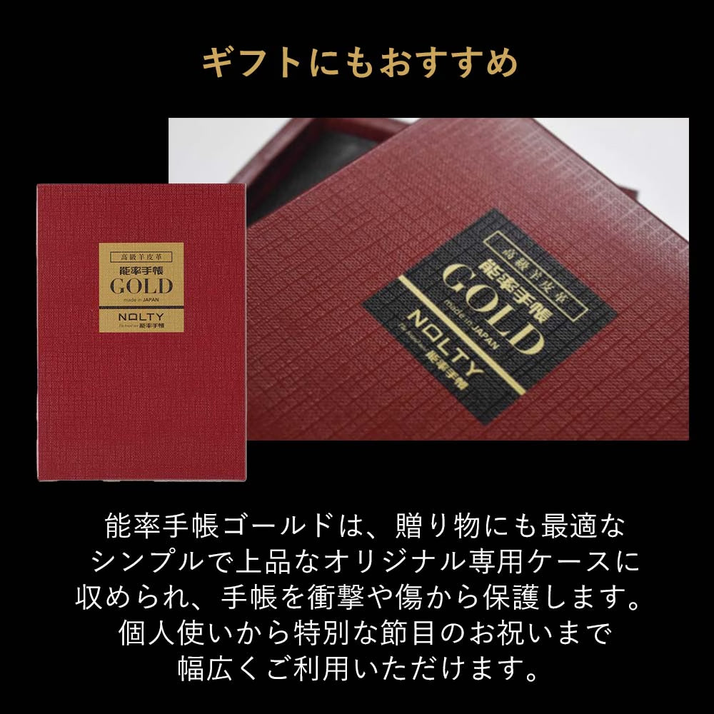 NOLTY Efficiency Planner Undated Log Diary Gold Black 3122