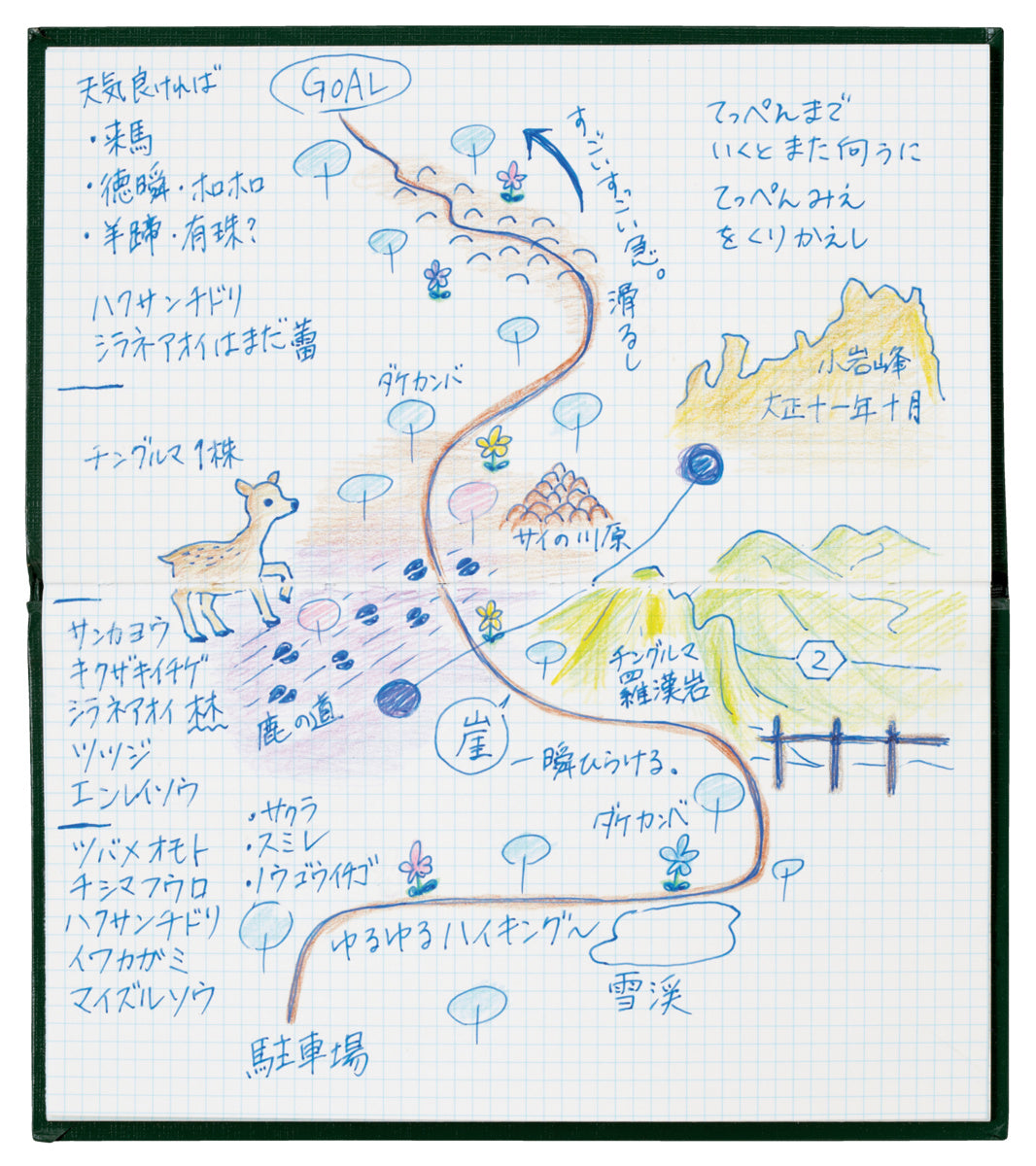 Kokuyo Field Notebook - Sketch Book