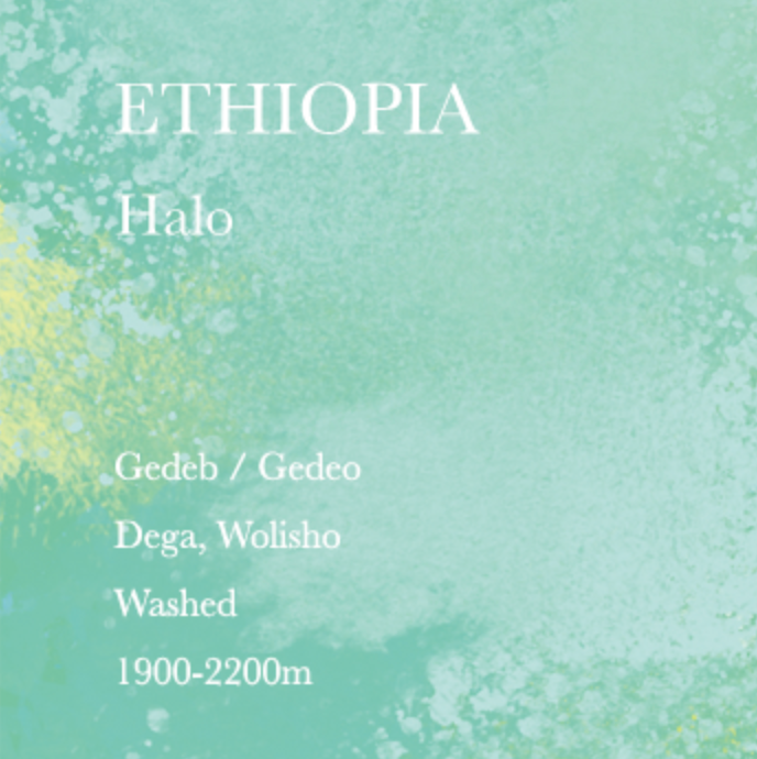 WEEKENDERS COFFEE Ethiopia Halo Coffee Beans