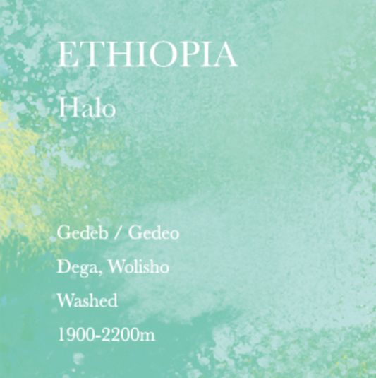 WEEKENDERS COFFEE Ethiopia Halo Coffee Beans