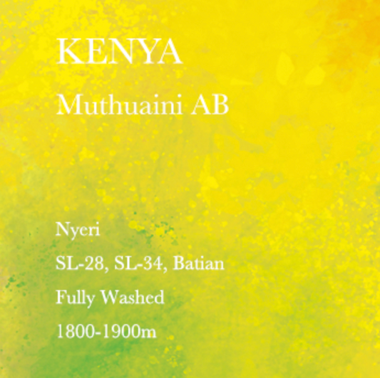 WEEKENDERS COFFEE Kenya Muthuaini AB Coffee Beans