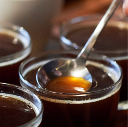 WEEKENDERS COFFEE 3 Tasting Selections Coffee Beans