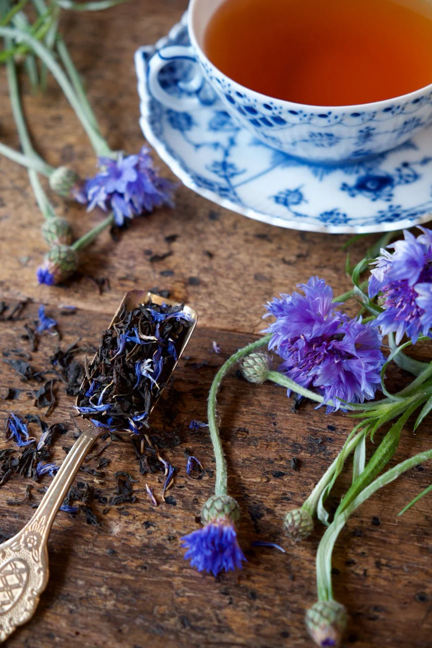 TEAPOND Early Grey Blue Bird Tea