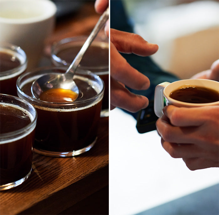 WEEKENDERS COFFEE 3 Tasting Selections Coffee Beans