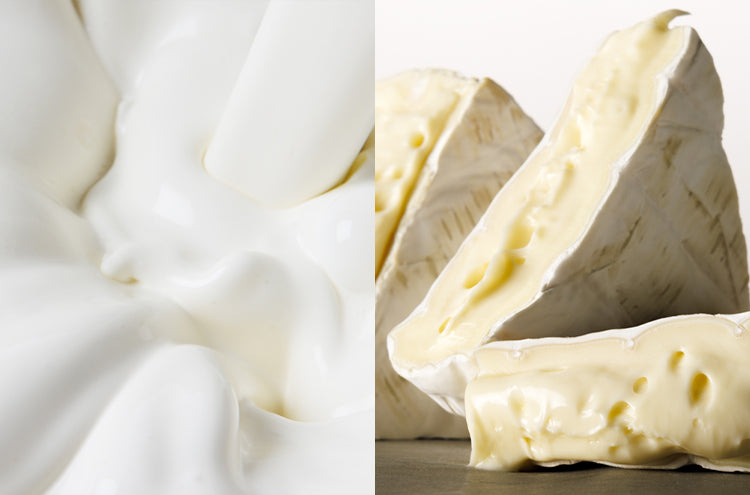 Tokyo Milk Cheese Factory Salt & Camembert Cookies - 9 pieces